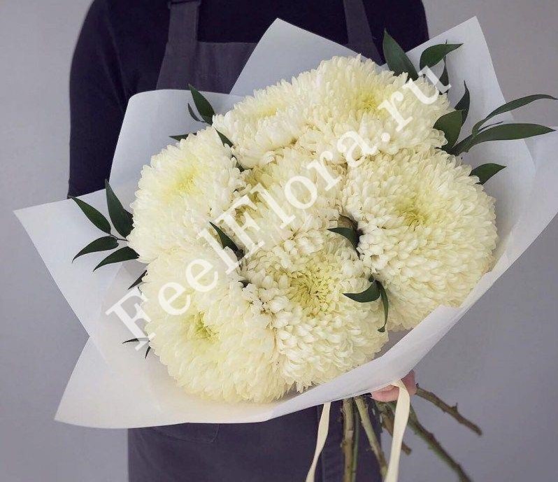 Мамба